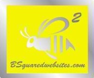 We are a full service website design firm dedicated to providing quality turnkey business that are easy to run even with no experience.