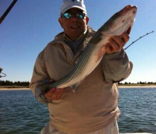 therutch's profile picture. 