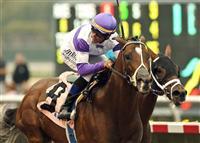 The official acct for Know More.  I am a two year old colt that debuted in a Stakes race and won at Del Mar, I might be a big deal. Follow and find out!
