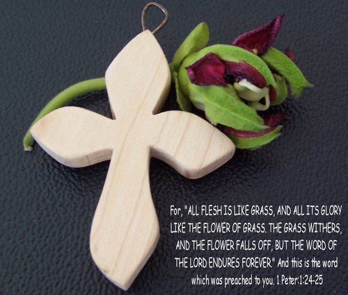 ashieldoffaith's profile picture. 