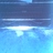 IBYIKEZ's profile image