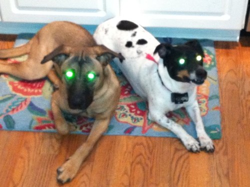 emehok's profile picture. 