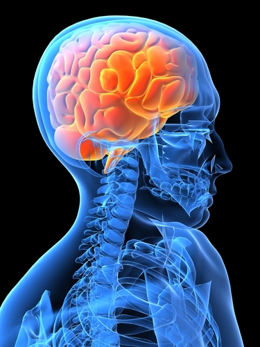 It's time to learn more about concussions. It's time to make a difference.