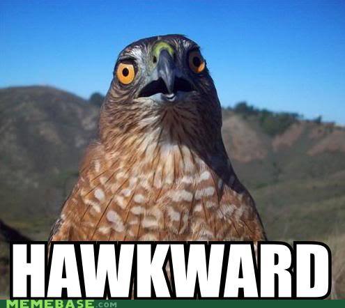 JesusChrist0BC's profile picture. Well isn't this Hawkard.