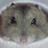 58yuma214's profile image