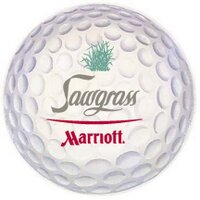 Sawgrass Marriott(@SawgrassGolf) 's Twitter Profileg