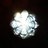 Sheila_Quealey's profile image