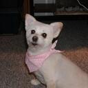 Yvette Marshall - @yummy3399 - Twitter