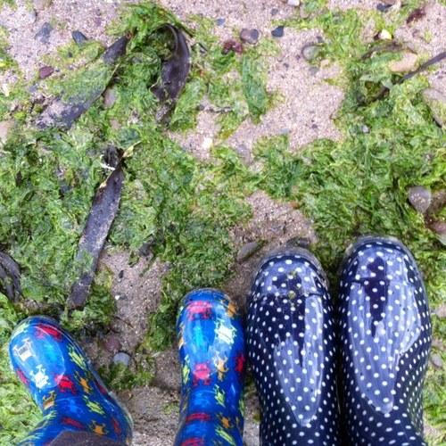 sineads22's profile picture. 