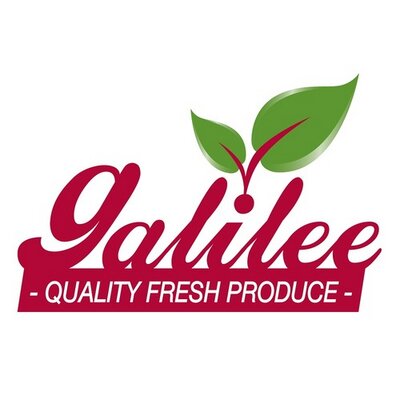 Galilee Export logo