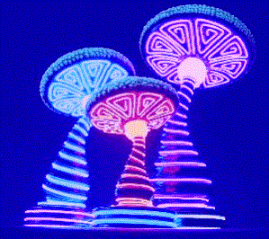 HOLOGRAMLIQUID's profile picture. Psychedelic trance