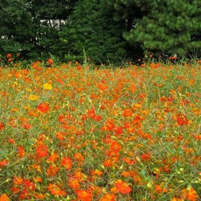 高橋仁美 Htm07 Twitter 高橋仁美 Htm07 Twitter