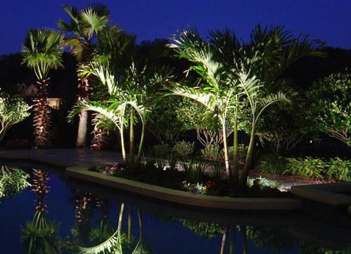 YTRIONA's profile picture. I love the good and I love winning