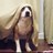 Clareyemms's profile image