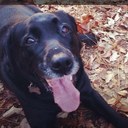 Doug Judson - @doug_judson - Twitter