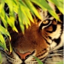 Michele Salgado - @Shelybean70 - Twitter