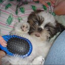 Rebecca Sheets - @rebeccaesheets - Twitter