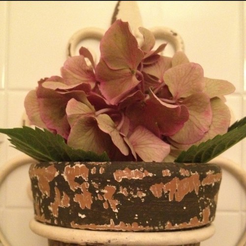 twittiAMO78's profile picture. Sono un po' cosí...matta! Adoro prendermi cura delle persone ma mi piacciono tutti gli animali tranne i ragni!