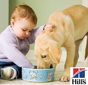 Cut your pet food costs with these Hill's Science Diet Coupons