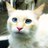 My_Pet_Forum's profile image
