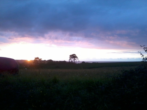 blanca_bla's profile picture. Pharmacist