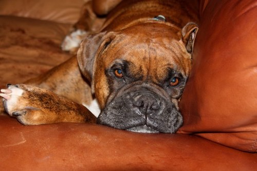 PaulKniery's profile picture. Husband, Father, Physician- Internal Medicine and Pediatrics