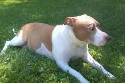 atetlow2's profile picture. 