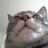 shushumommy's profile image