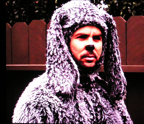 Hi i'm Wilfred. Yes i'm a dog so I do whatever I want. This account is a PARODY. Follow me people.