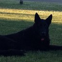 Guy caron - @GuycvGuy - Twitter