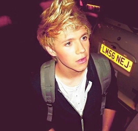 i am in love with 5 beautiful boys. Niall is da pimp. i follow back if you ask.
