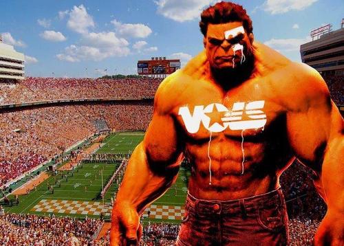 DYatesVols's profile picture. THE #1 VOLS FAN ALIVE!