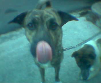 kikokeng's profile picture. 