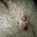 Noelle Wagner - @nwagner87 - Twitter