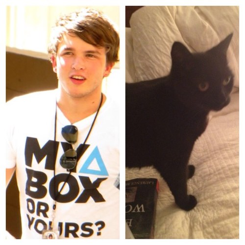 This account is devoted to getting @JoshDevineDrums to love my cat.