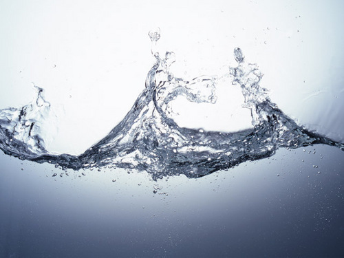 penta_fl's profile picture. 