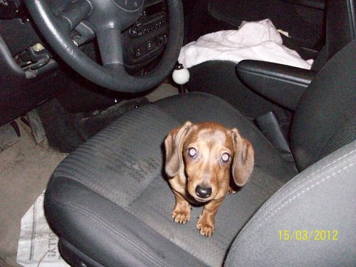 therealkwinny1's profile picture. Doing the best I can