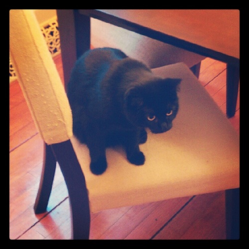 Hamilton_JM's profile picture. 