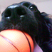 Jane McInally (@hairymongrel) Twitter profile photo Jane McInally (@hairymongrel) Twitter profile photo