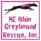 NEOhio_Rescue's profile picture. We are dedicated to taking in retired racing greyhounds and preparing them for life as cherished pets. We are a non-profit organization based out of Ohio.
