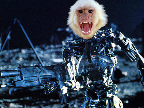 robot-monkey-terminators.jpg