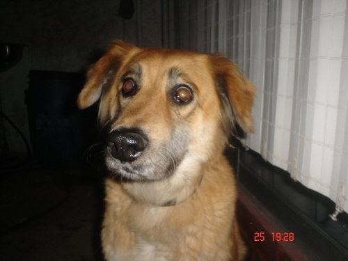 MarceloLagosb's profile picture. Geógrafo.