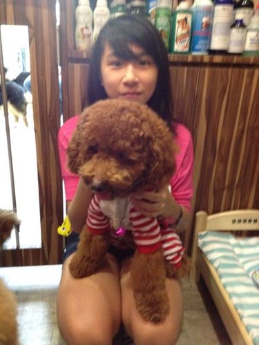 MinhuiLala's profile picture. 