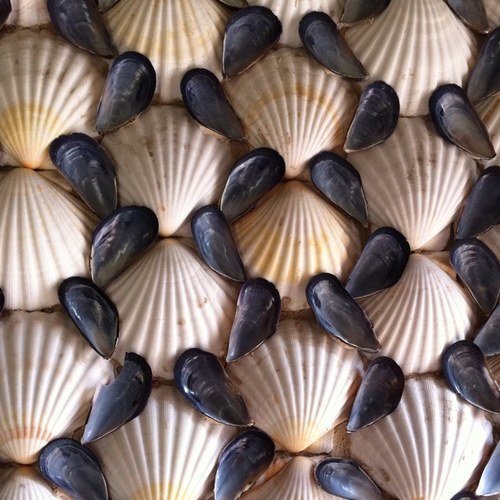 MaggieHoward1's profile picture. 