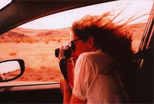 littlebird446's profile picture. 