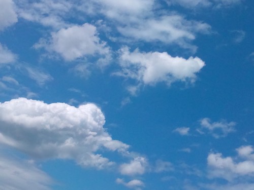 bluesky735's profile picture. 🌷TULIP！ ㊗️53周年‼︎🌷