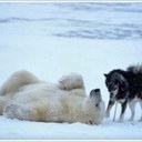 larry handley - @americaisyours - Twitter