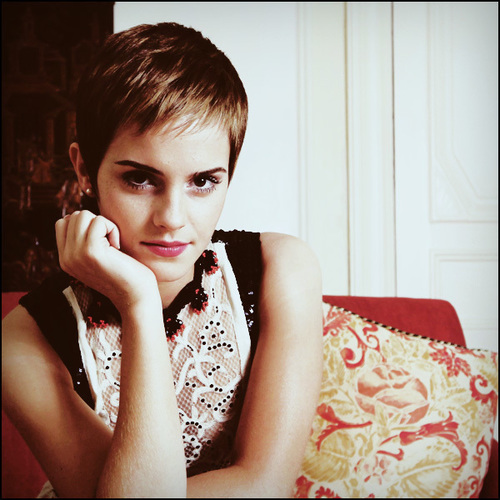twittwerFAN dedicado a atriz Emma Watson :)