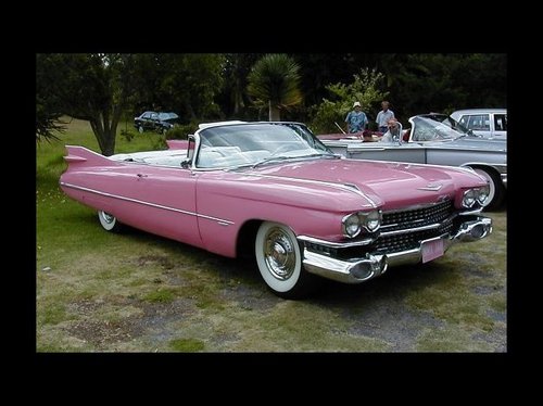 Sally_Delacruz's profile picture. 