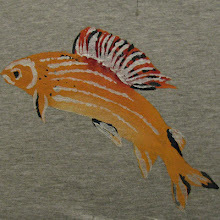 FabrizioDondi's profile picture. Pesco a mosca da una quando ho 16 anni e nonostante il tempo passi, scopro ogni volta emozioni nuove... E' una malattia da cui non voglio più guarire!